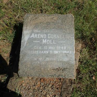 MOLL Arend Cornelius 1948-1948