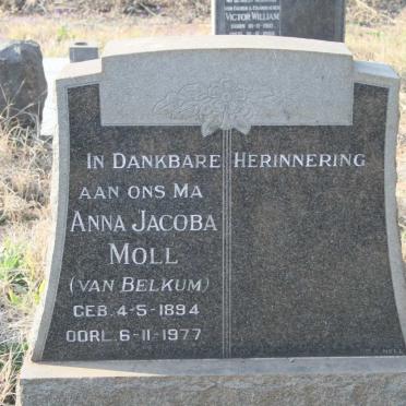 MOL Anna Jacoba nee VAN BELKUM 1894-1977
