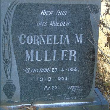 MULLER Cornelia M. nee STRYDOM 1855-1939