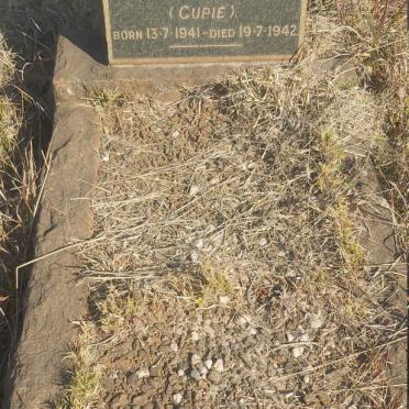 NELL Kathleen S. 1941-1942