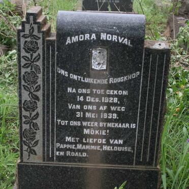 NORVAL Amora 1928-1939