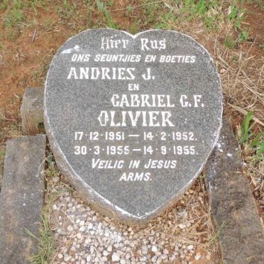 OLIVIER Andries J. 1951-1952 :: OLIVIER Gabriel G.F. 1955-1955