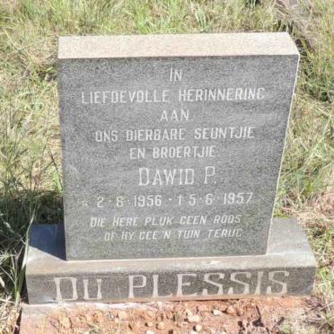 PLESSIS Dawid P., du 1956-1957