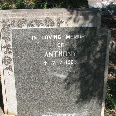 ROFAIL Joseph -1959 &amp; Agnes -1967  :: ROFAIL Anthony-1963