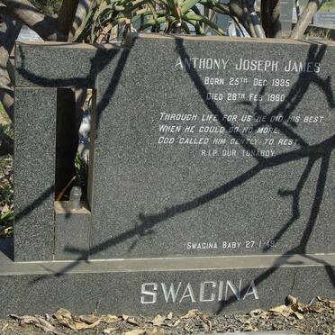 SWACINA Anthony Joseph James 1935-1960 :: SWACINA  Baby -1949