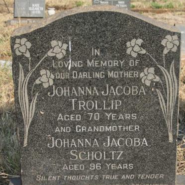 TROLLIP Johanna Jacoba :: SCHOLTZ Johanna Jacoba 
