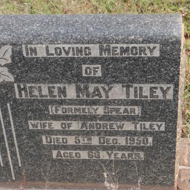 TILEY Helen May formerly SPEAR -1950