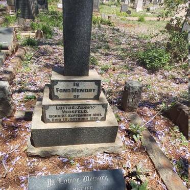 VERSFELD :: PAGE :: COOK :: HOLLIDAY