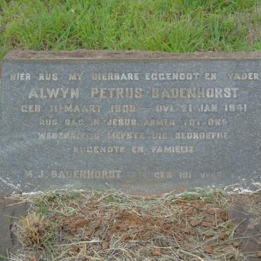 BADENHORST Alwyn Petrus 1909-1941