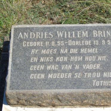 BRINK Andries Willem 1955-1955 :: BRINK Frederich Wilhelm 1960-1960 _1