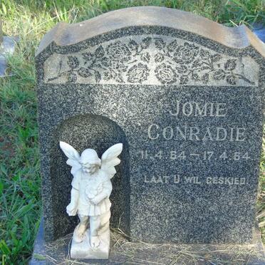 CONRADIE Jomie 1964-1964