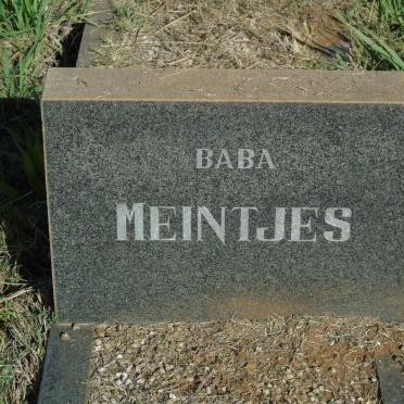 MEINTJES 