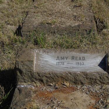 READ Amy 1875-1953