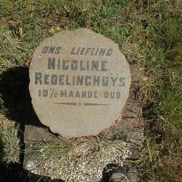 REDELINGHUYS Nicoline