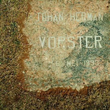 VORSTER Johan Herman 1993-1993