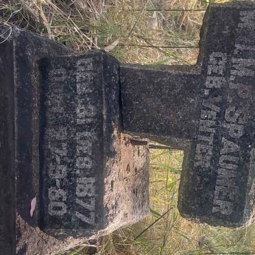 SPAUMER M.J.M.P. nee VENTER 1877-1950