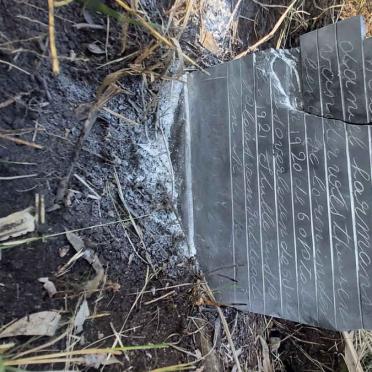 WESTHUIZEN Daniel Harmans, van der 1920-1921