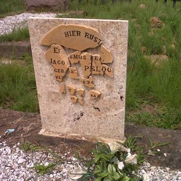 PRINSLOO Erasmus Daniel Jacobus 1830-1894