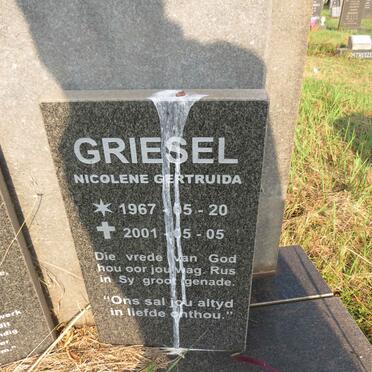 BUITENDACH Nicolaas Johannes Jacobus 1985-2004 :: GRIESEL Nicolene Gertruida 1967-2001 _2