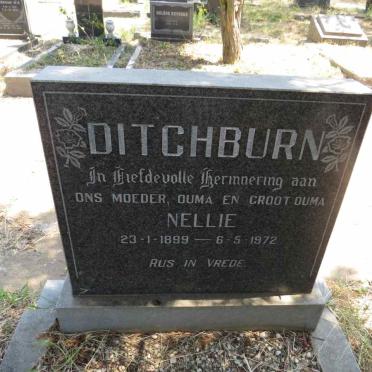DITCHBURN Nellie 1899-1972