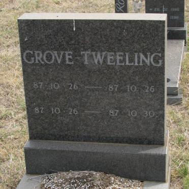 GROVE 1987-1987 :: GROVE 1987-1987