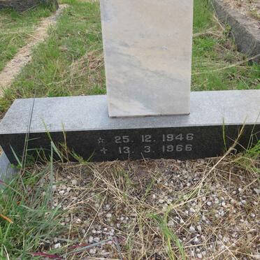 PINHO M.F., de 1946-1966 _2