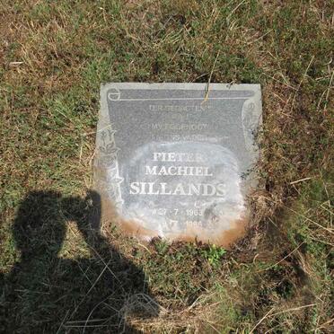 SILLANDS Pieter Machiel 1963-1986