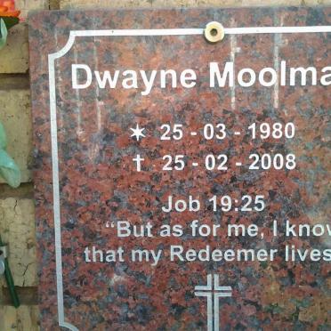 MOOLMAN Dwayne 1980-2008