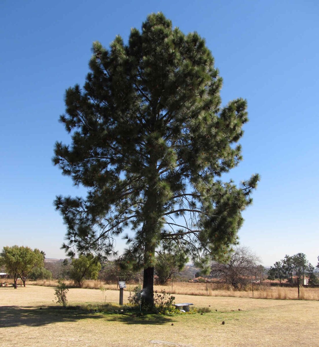 1. Overview / Oorsig