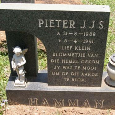 HAMMAN J.J.S.1989-1991