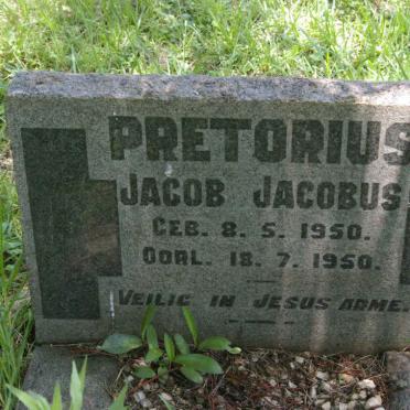 PRETORIUS Jacob Jacobs 1950-1950