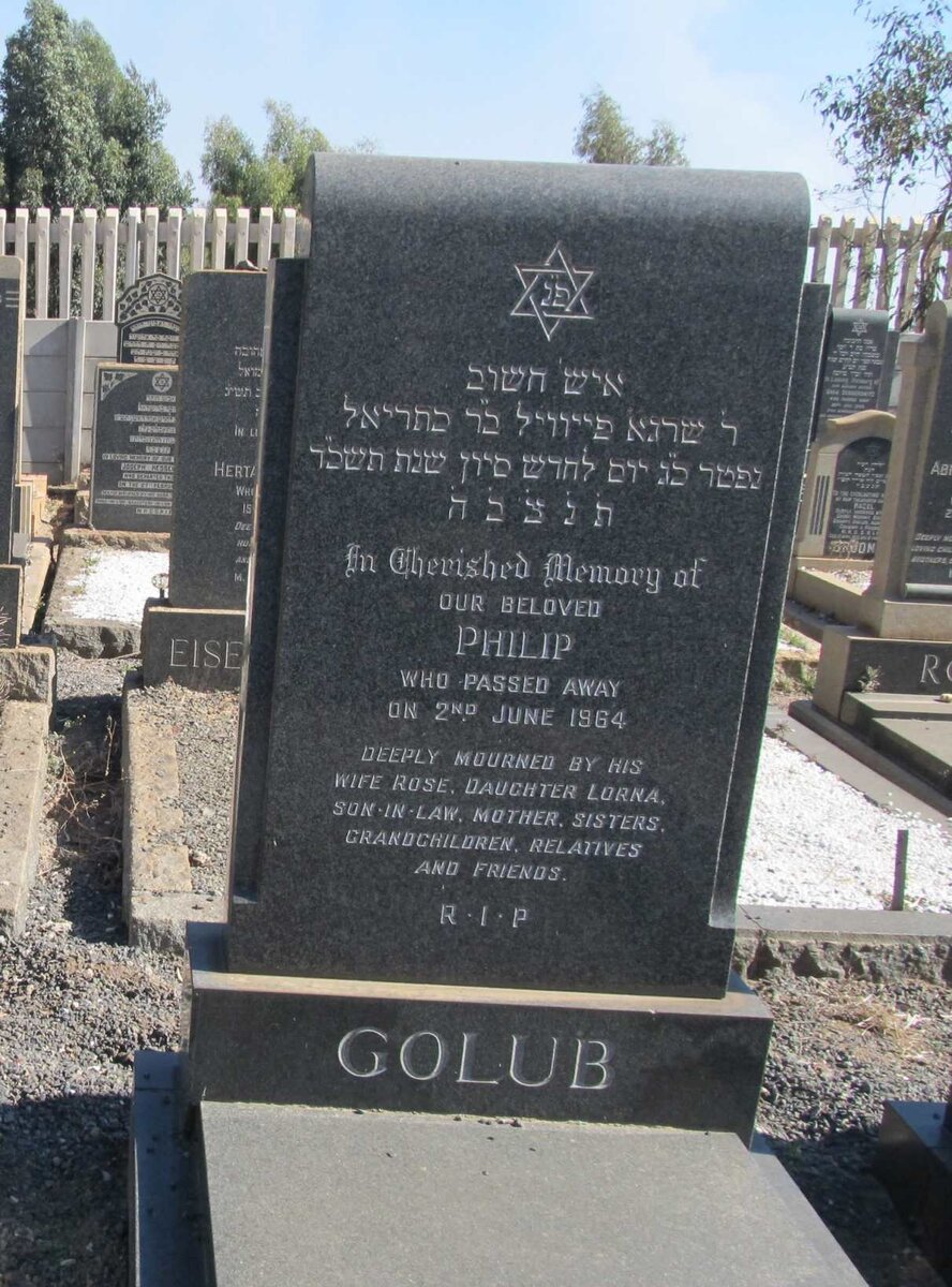 GOLUB Philip -1964