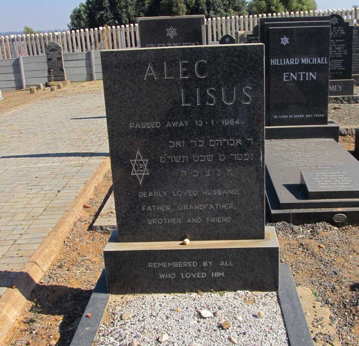 LISUS Alec -1984