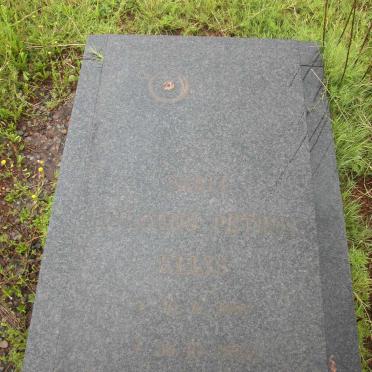 ELLIS Sarel Jurgens Petrus 1887-1955