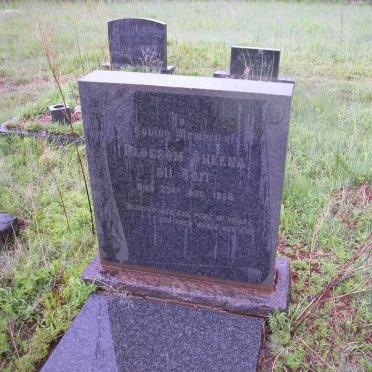 TOIT Blossom Sheena, du -1957