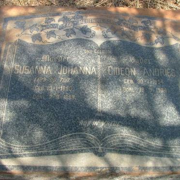 Gauteng, RANDFONTEIN district, Brandvlei 261 IQ_3, farm cemetery