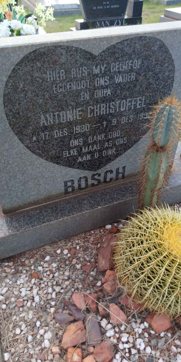 BOSCH Antonie Christoffel 1930-1992