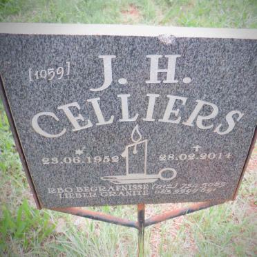 CELLIERS J.H. 1952-2014