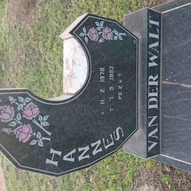 WALT Hannes, van der 1978-1993