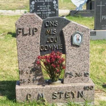 STEYN P.M. 1950-1994