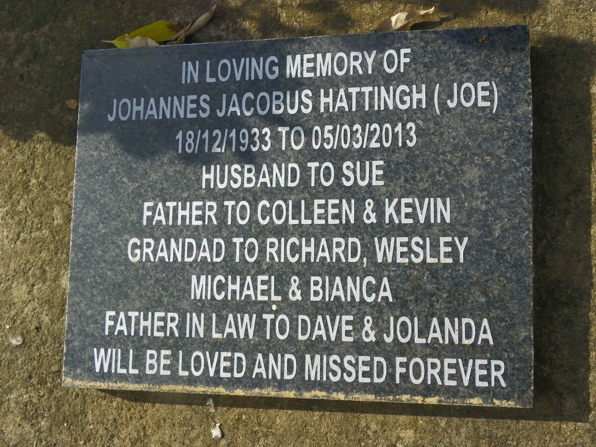 HATTINGH Johannes Jacobus 1933-2013