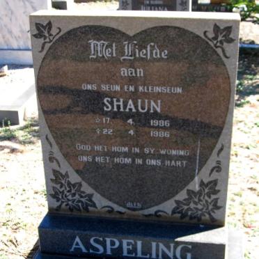 ASPELING Shaun 1986-1986
