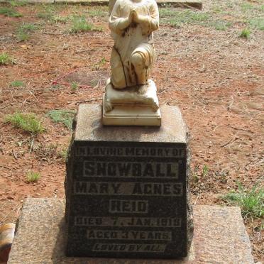 REID Mary Agnes -1919