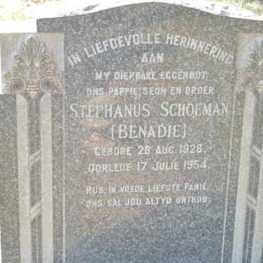 BENADIE Stephanus Schoeman 1928-1954