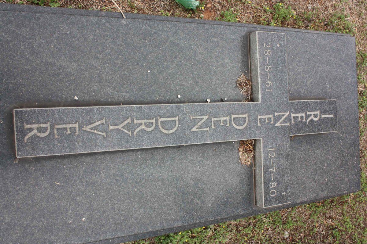 DRYVER Irene, den 1961-1980