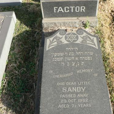 FACTOR Sandy -1962