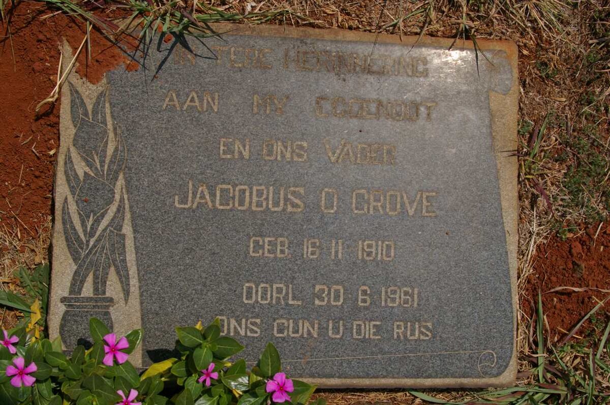 GROVE Jacobus O. 1910-1961