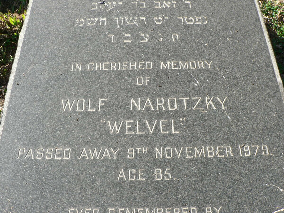 NAROTZKY Wolf -1979