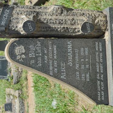 PRETORIUS Alice Johanna nee PRETORIUS 1906-1960