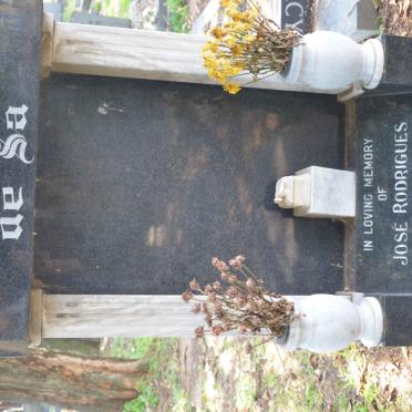 SA José Rodrigues, de 1955-1994